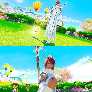 ffxiv screenshot contest